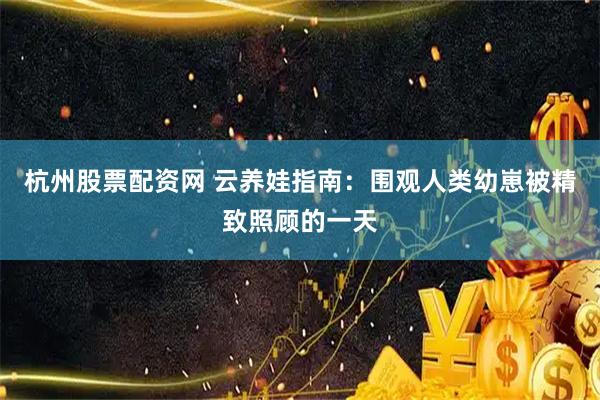杭州股票配资网 云养娃指南：围观人类幼崽被精致照顾的一天