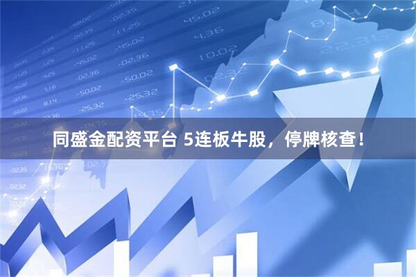 同盛金配资平台 5连板牛股，停牌核查！