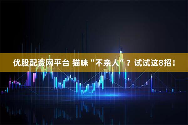 优股配资网平台 猫咪“不亲人”？试试这8招！