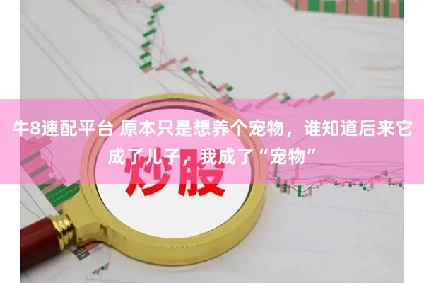 牛8速配平台 原本只是想养个宠物，谁知道后来它成了儿子，我成了“宠物”