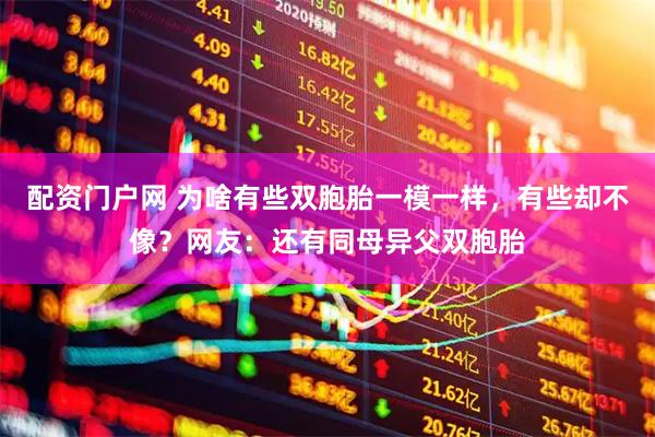 配资门户网 为啥有些双胞胎一模一样，有些却不像？网友：还有同母异父双胞胎