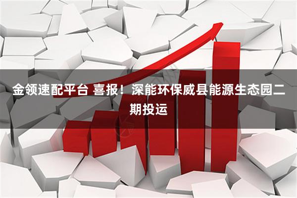 金领速配平台 喜报！深能环保威县能源生态园二期投运