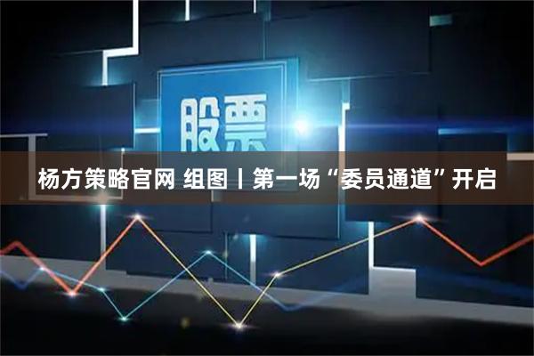 杨方策略官网 组图丨第一场“委员通道”开启