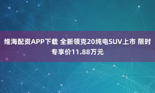 维海配资APP下载 全新领克20纯电SUV上市 限时专享价11.88万元